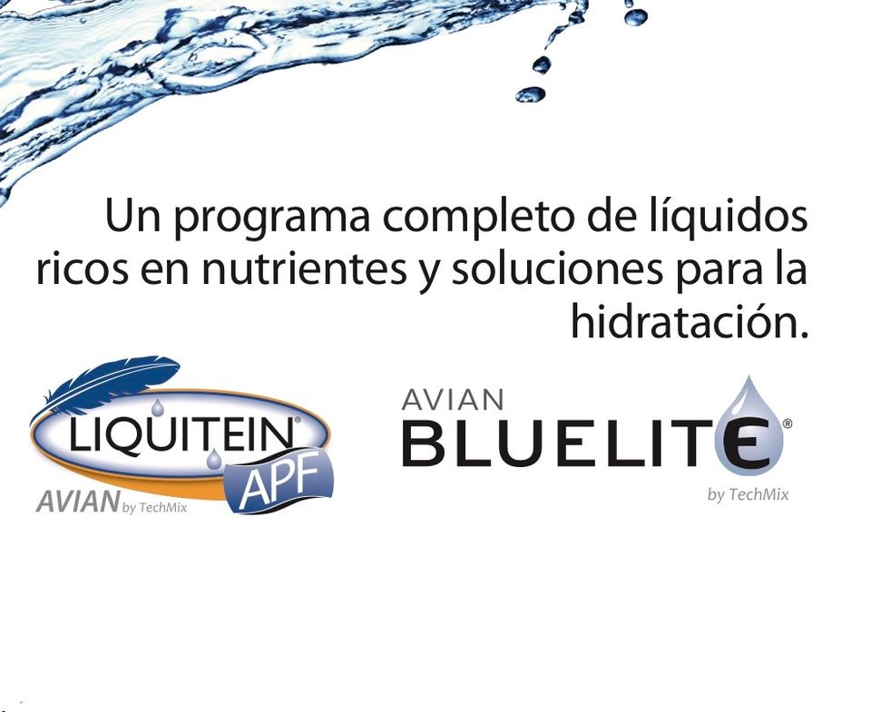 LIQUITEIN - BLUELITE - Ofreciendo Nutrición e Hidratación